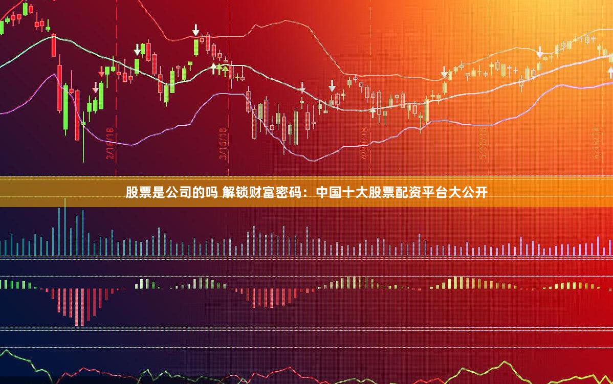 股票是公司的吗 解锁财富密码：中国十大股票配资平台大公开